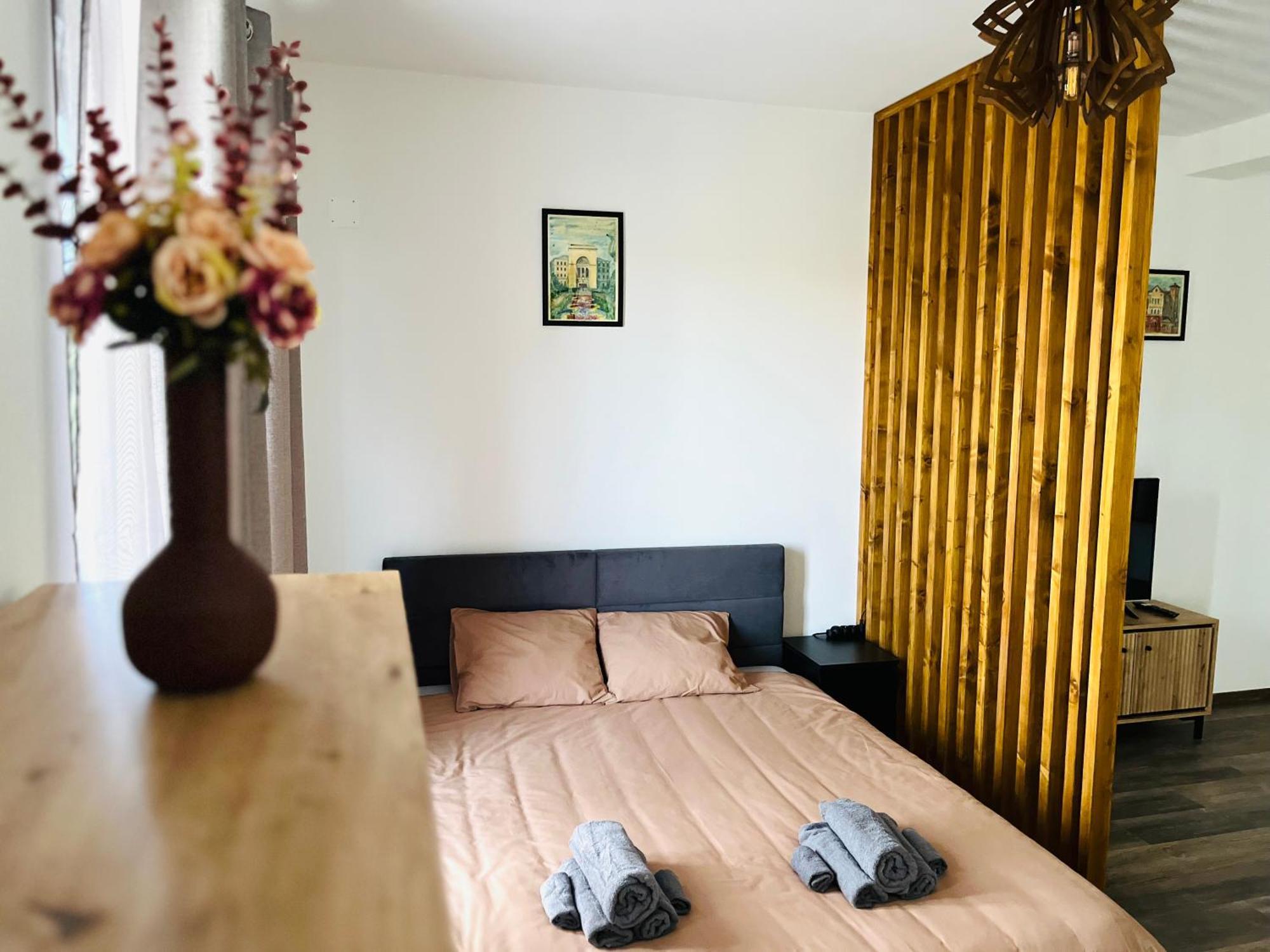 Apartament Studio Bian Timisoara Exterior photo